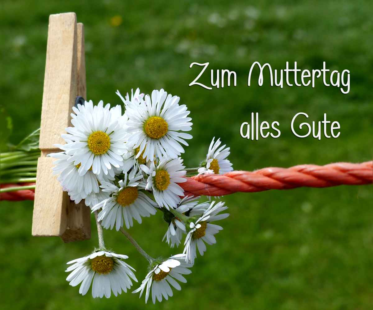 Zum Muttertag