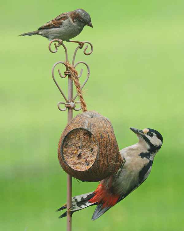 bist du bald fertig?