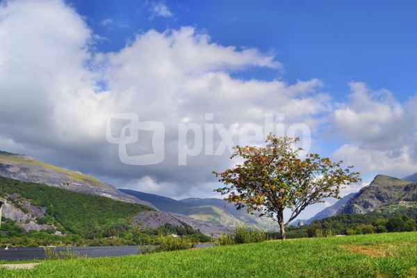 Snowdonia