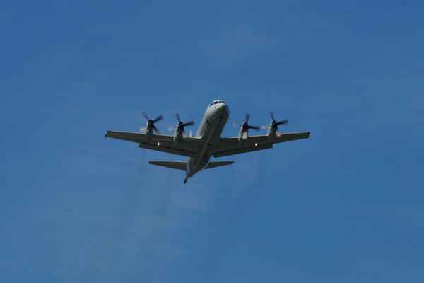 P 3 Orion