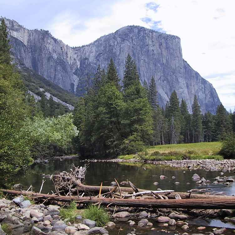 Yosemite National Park