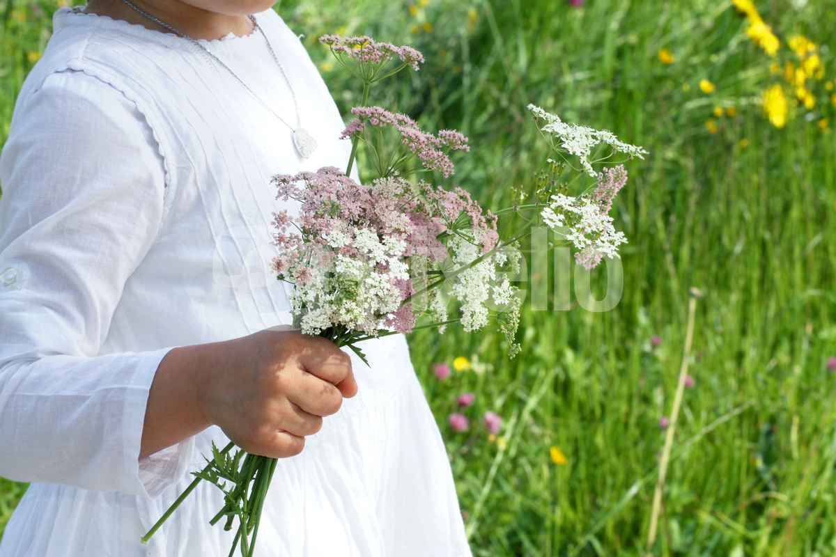 Ein Wiesenblumenstrauß