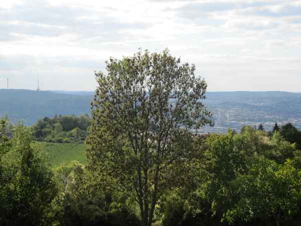 Weitblick über Stuttgart