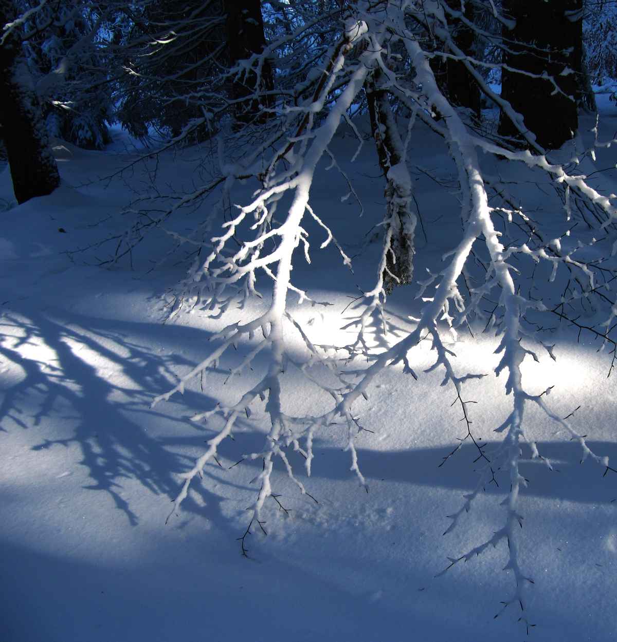 Schatten im Schnee
