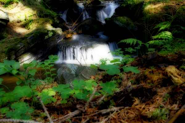 ein wasserfall im wald