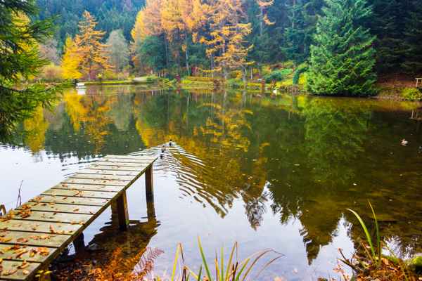 Schwarzwaldsee im Herbst