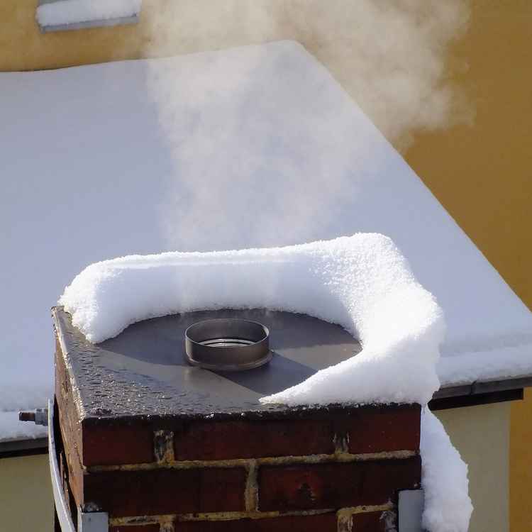 Qualmende Esse im Winter 2