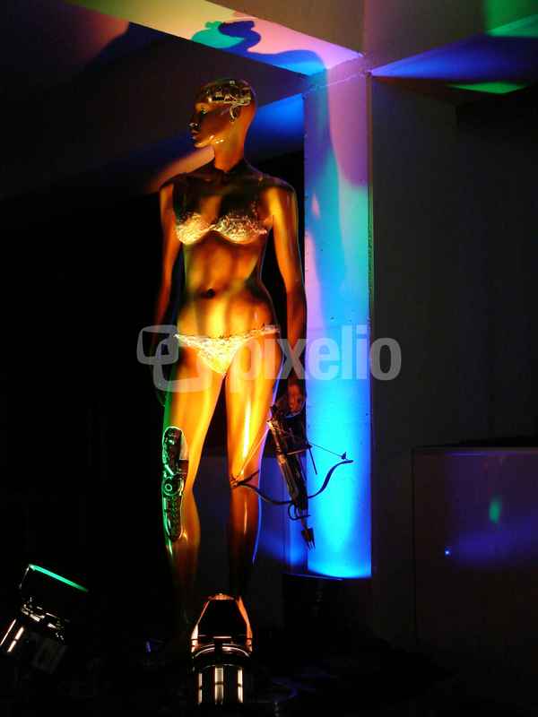 Cyborg I