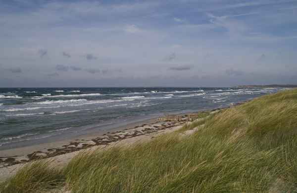 Langeland 2008 (Dänemark) 08