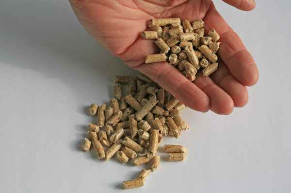 eine Handvoll Holz-Pellets_2
