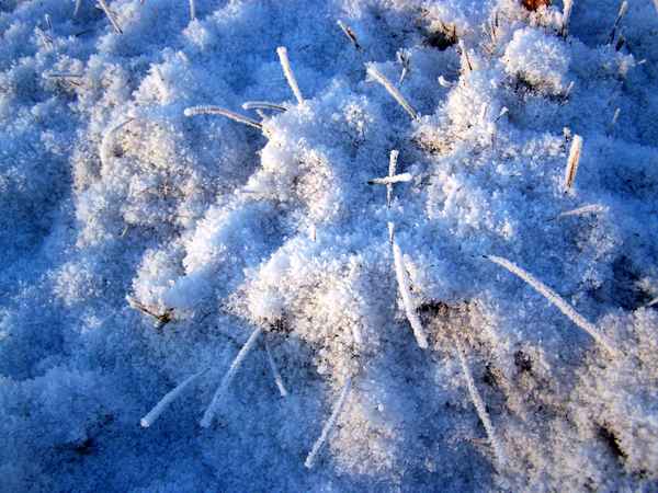 Wiese gefrostet