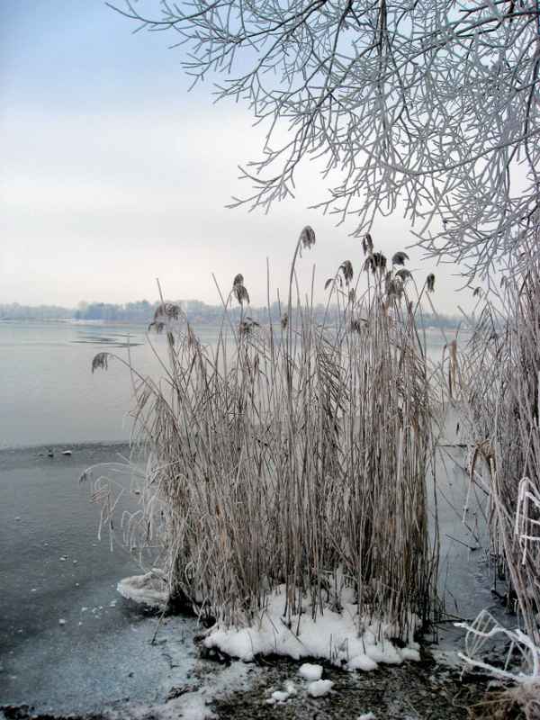 Tranquility