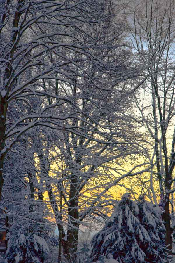 Natur 73