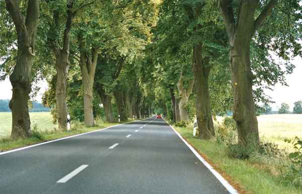 Alte Allee