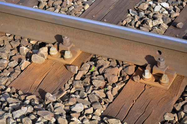 Aufkeimende Hoffnung