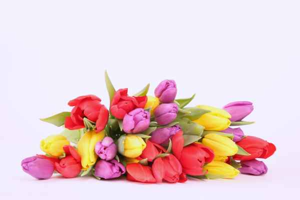 nach dem Valentinstag