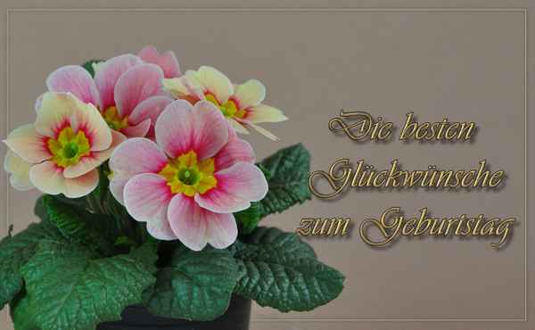 Zum Geburtstag
