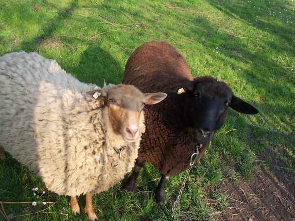 Hast du was für uns?