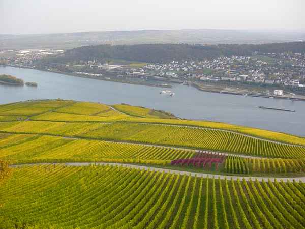 Am Niederwalddenkmal