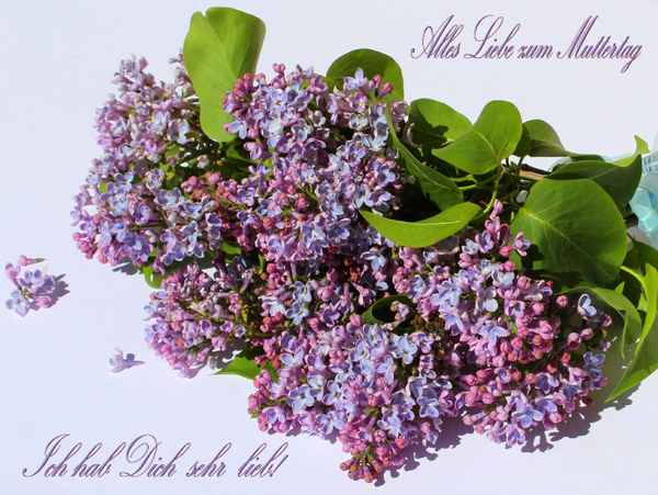 ALLES LIEBE II