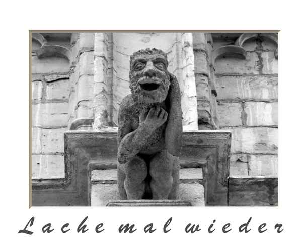 L a c h e    m a l    w i e d e r