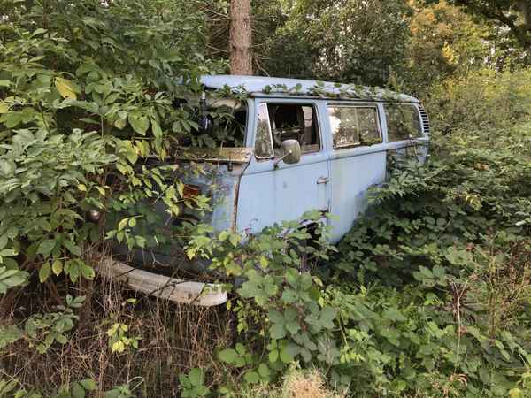 Rostlaube: Alter VW-Bulli