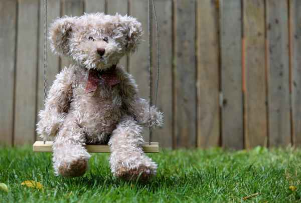 Serie Teddy 1