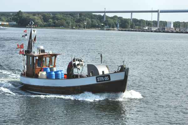 Einer der letzten Fischer