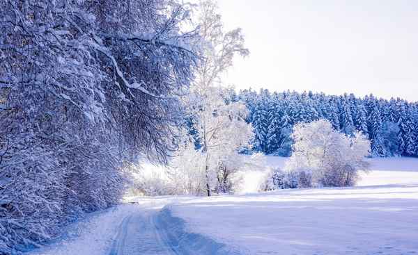 Neuschnee-Zauber frisch ger&auml;umt