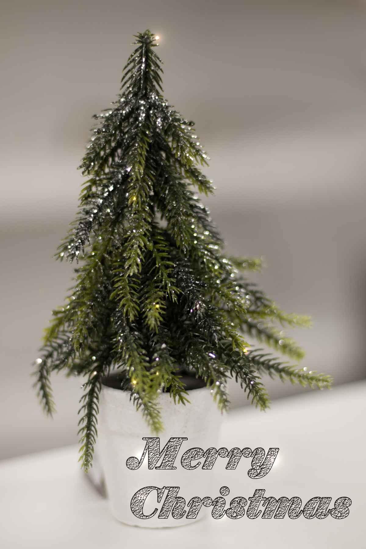 Merry Christmas