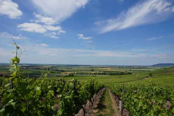 Seinsheim , Bullenheimer Berg