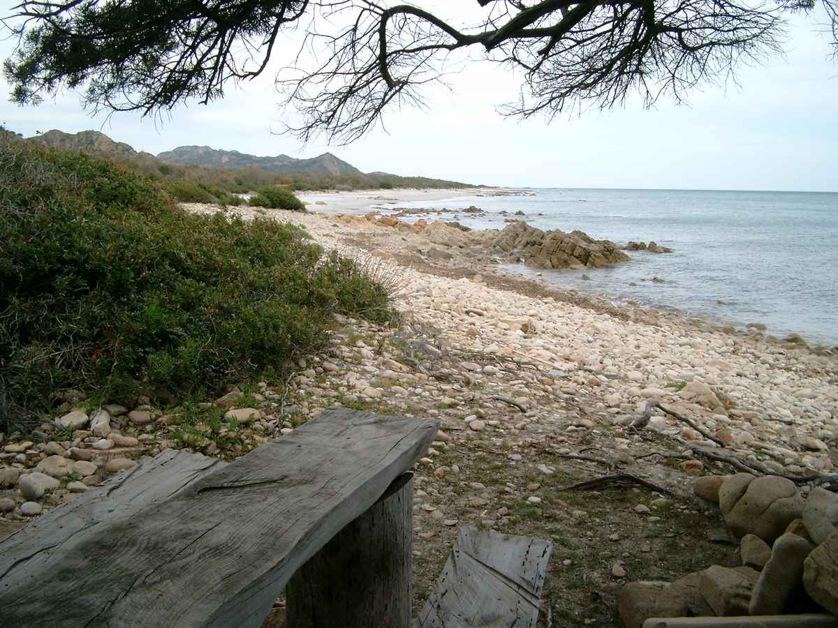 Schattiges Plätzchen am Meer