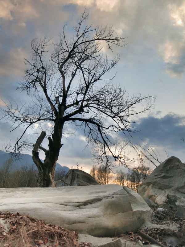 vor der dämmerung