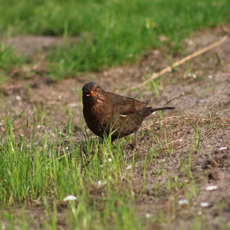 Ich bin eine stolze Mutter!