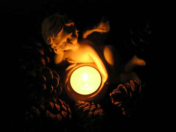 ++ Der Träumer++  3