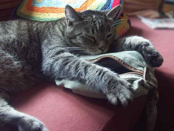 Mittagspause Part ||