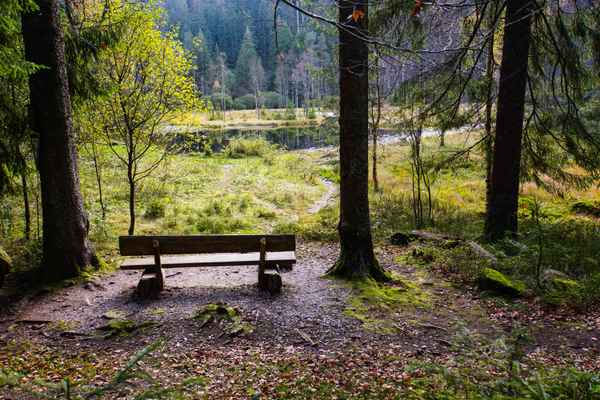 Ellbachsee mit Bank