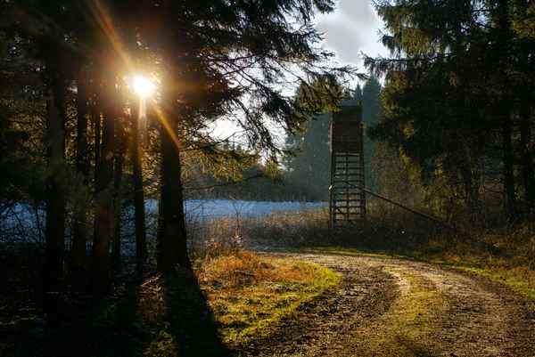 Winterabend im Teutoburger Wald