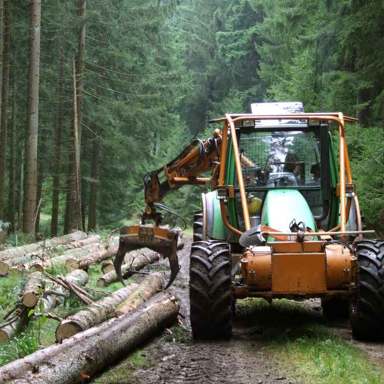 Waldarbeit mit schwerem Gerät