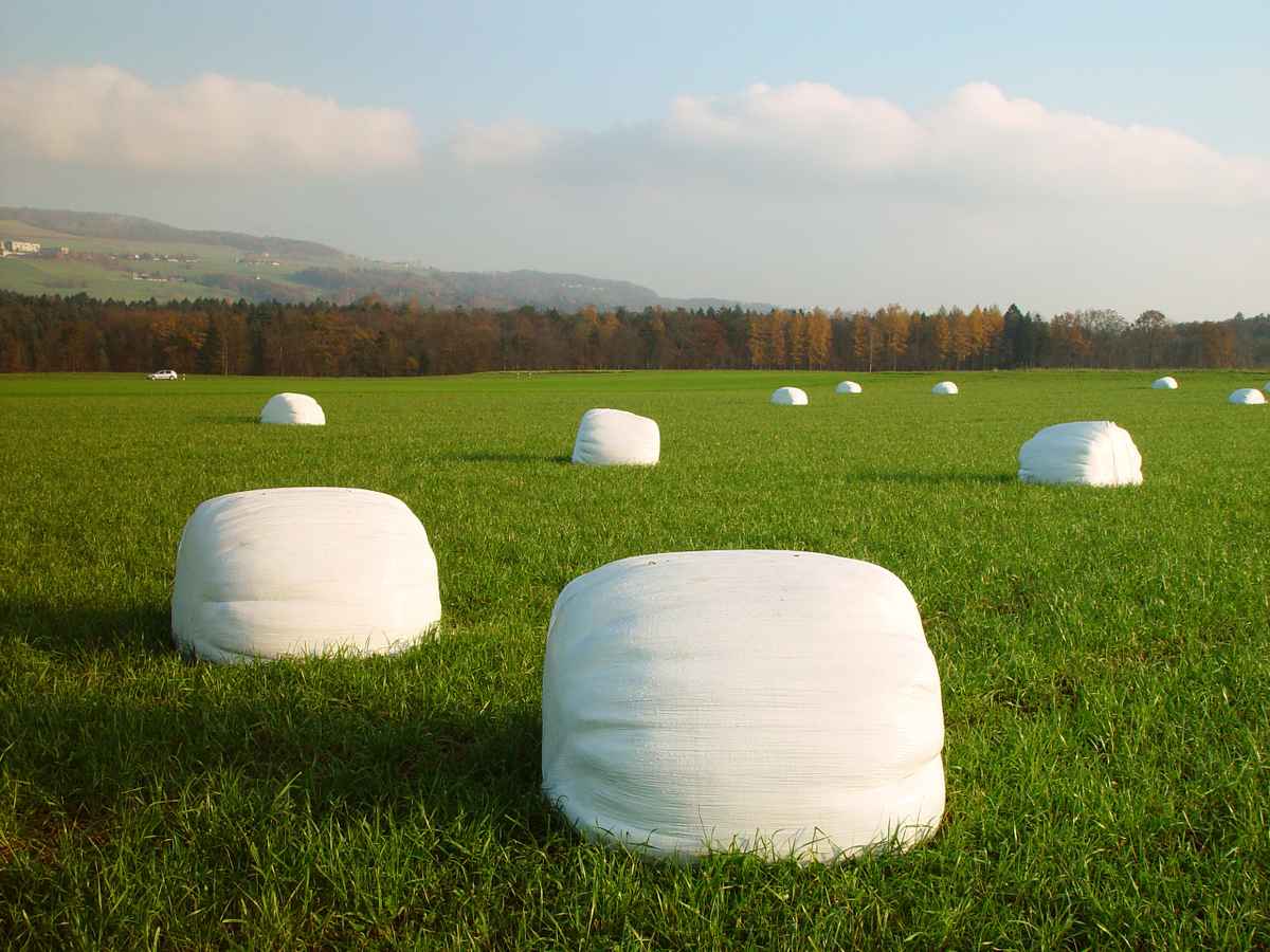 Siloballen