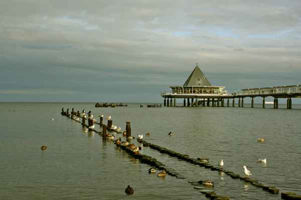 Seebrücke Heringsdorf