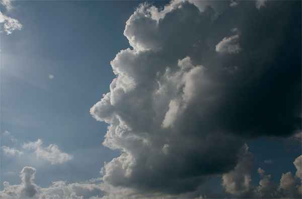 das Gesicht des Windes