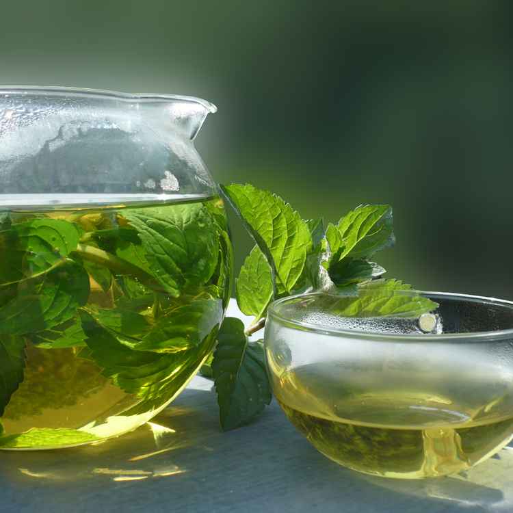 Pfefferminz-Tee mit ruhigem Hintergrund