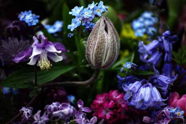 bunter Blumenstrauß