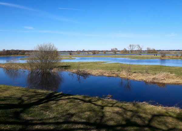 Feuchtgebiet - Wümme