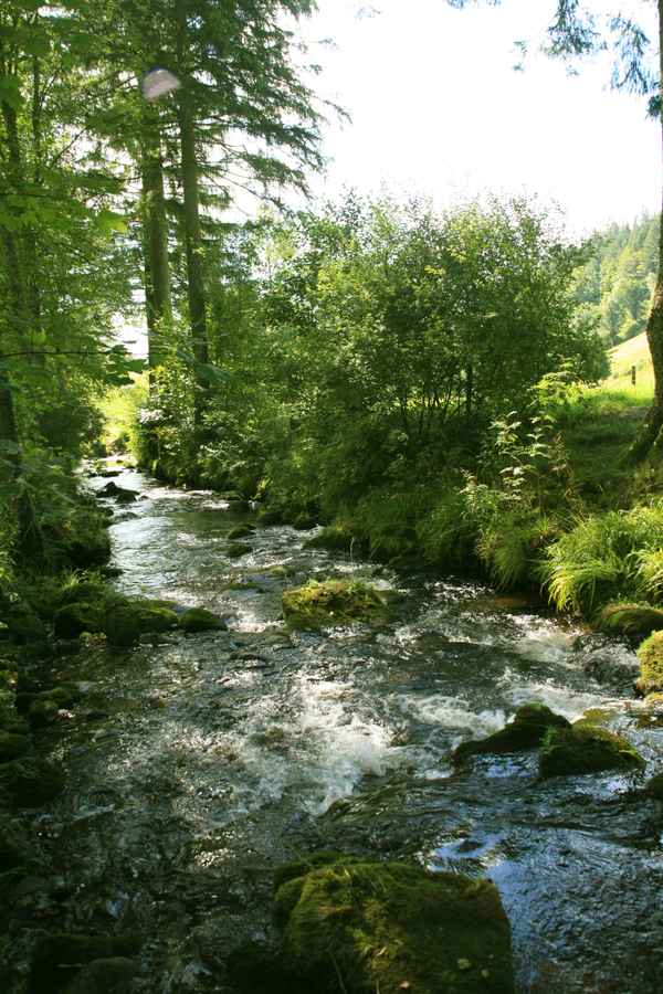 Wandern im Tonbachtal_2