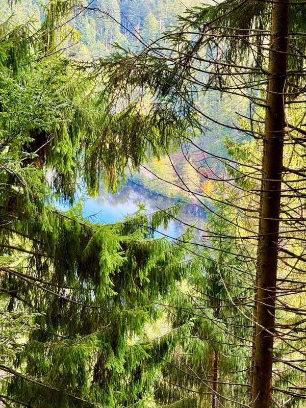 Blick auf den Sankenbachsee