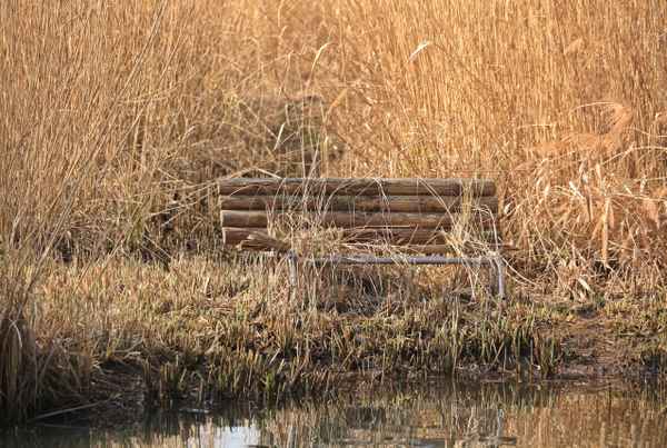 die vergessene bank am see