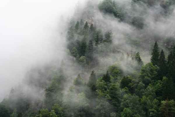 Nebel in den Bergen
