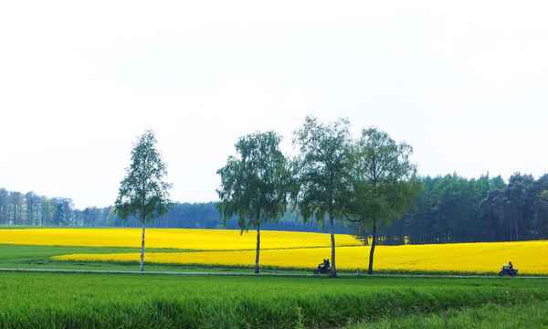 fahrt durch den frühling 2